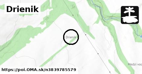 Drienik