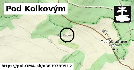 Pod Kolkovým