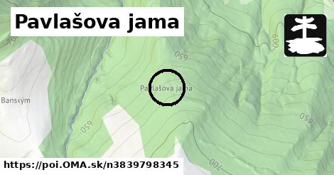 Pavlašova jama