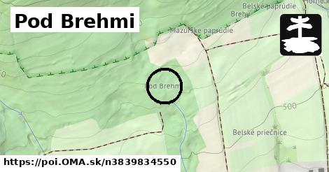 Pod Brehmi