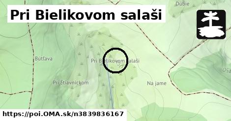 Pri Bielikovom salaši