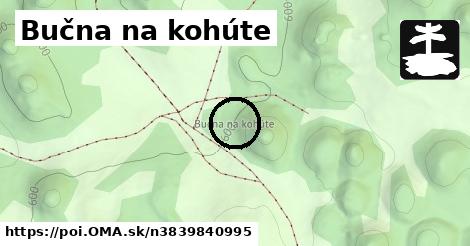 Bučna na kohúte