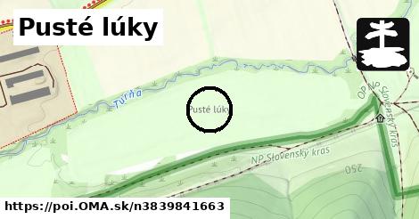 Pusté lúky