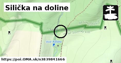 Silička na doline