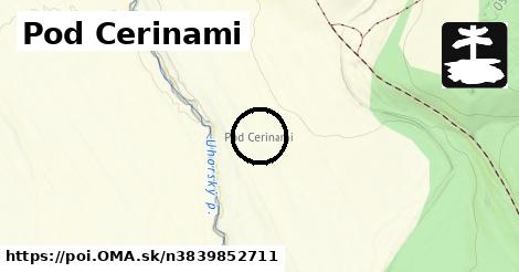 Pod Cerinami