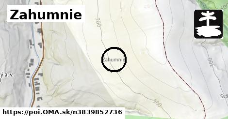 Zahumnie