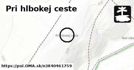 Pri hlbokej ceste