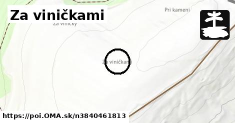 Za viničkami