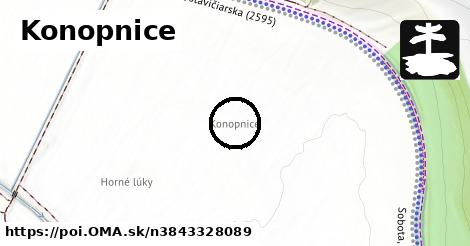 Konopnice