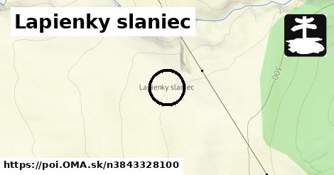 Lapienky slaniec