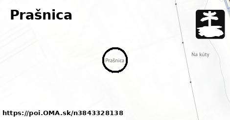 Prašnica