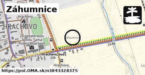 Záhumnice