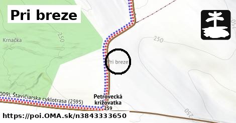 Pri breze