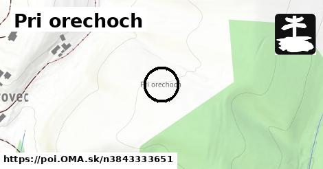 Pri orechoch