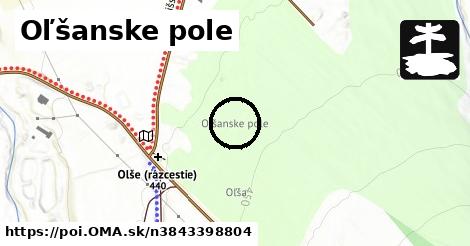 Oľšanske pole