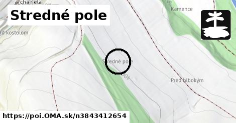 Stredné pole