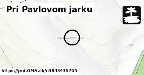 Pri Pavlovom jarku