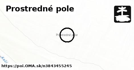 Prostredné pole