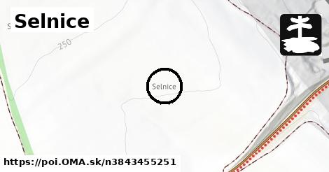 Selnice