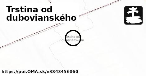 Trstina od dubovianského