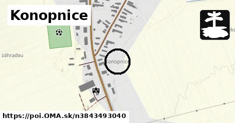 Konopnice