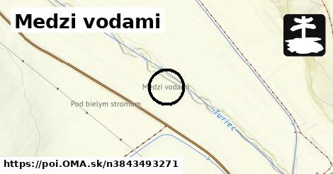 Medzi vodami