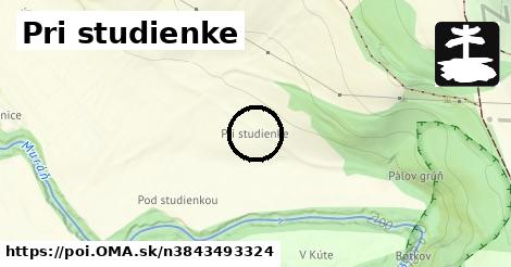 Pri studienke