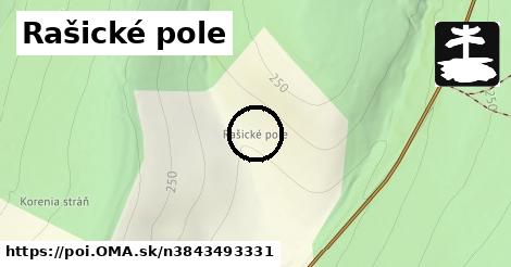 Rašické pole