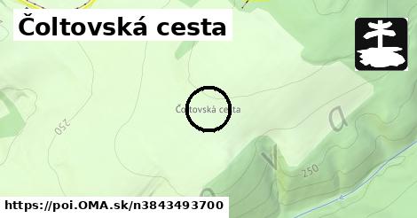 Čoltovská cesta