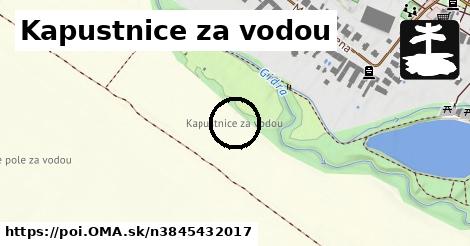 Kapustnice za vodou