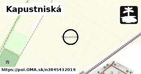 Kapustniská