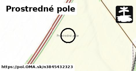 Prostredné pole