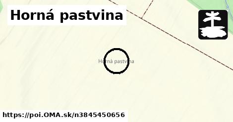 Horná pastvina