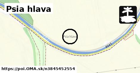 Psia hlava