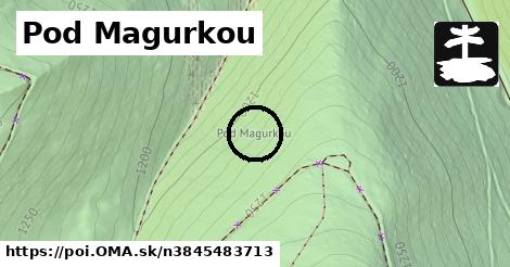 Pod Magurkou