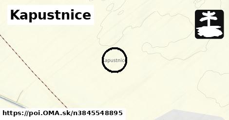 Kapustnice