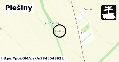 Plešiny