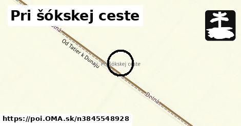 Pri šókskej ceste