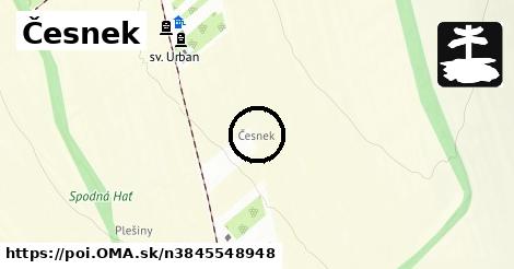 Česnek