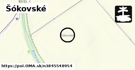 Šókovské