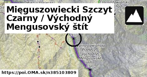 Mięguszowiecki Szczyt Czarny / Východný Mengusovský štít
