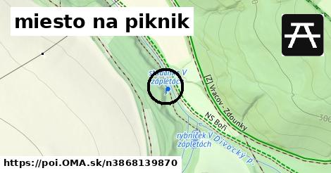 miesto na piknik