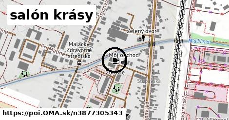 salón krásy