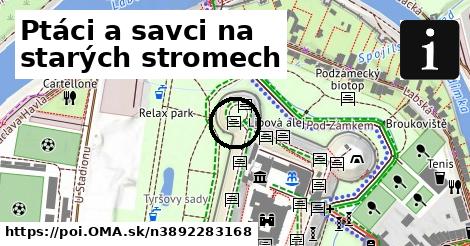 Ptáci a savci na starých stromech