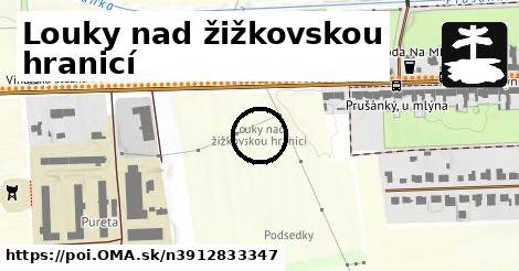 Louky nad žižkovskou hranicí