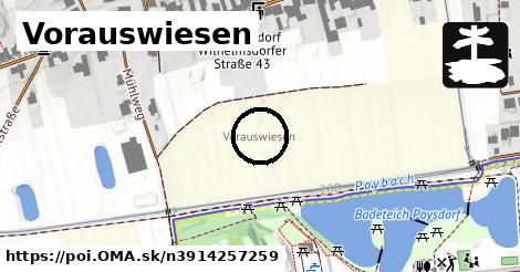 Vorauswiesen