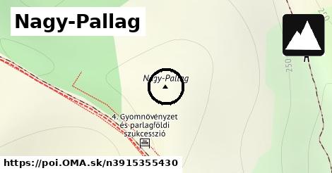 Nagy-Pallag