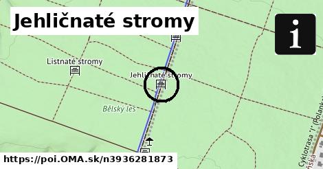 Jehličnaté stromy