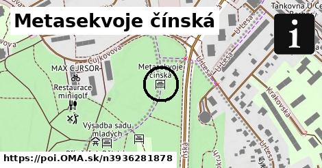 Metasekvoje čínská