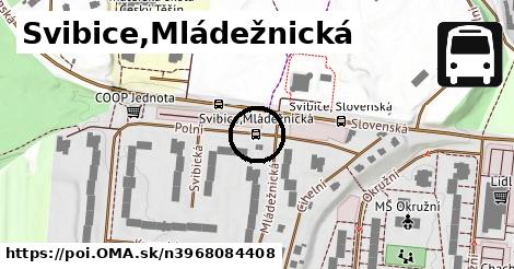 Svibice,Mládežnická